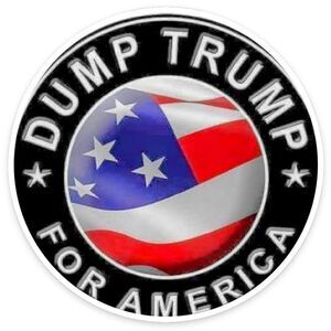 MugsBySandy, 15oz coffee mug, Dump trump for American